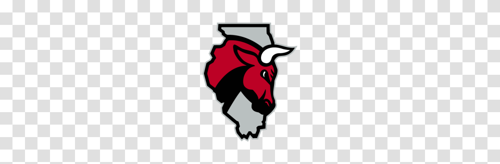 Chicago Bulls, Logo, Light, Flare Transparent Png
