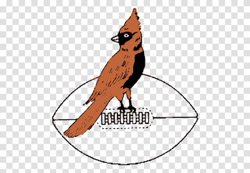 Chicago Cardinals Logo And History Chicago Cardinals 1947 Logo, Animal, Bird, Jay, Finch Transparent Png