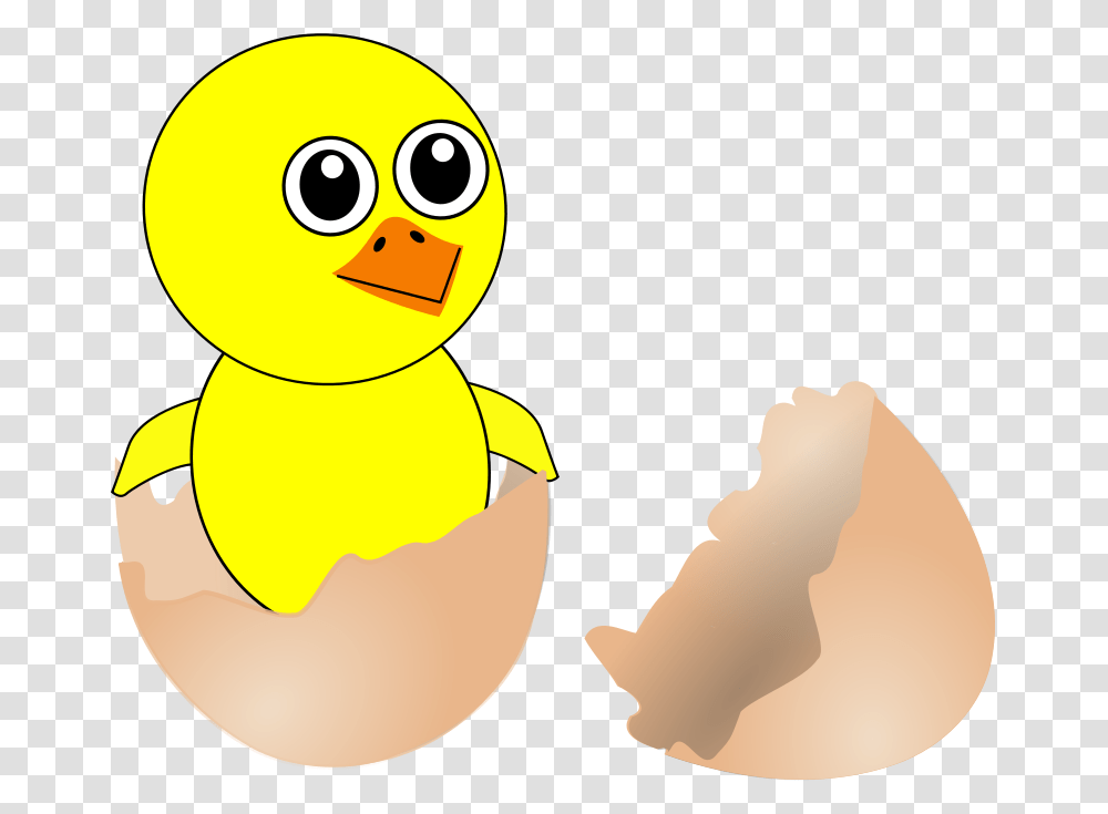Chick 006 Newborn Egg Cartoon, Animals, Bird, Penguin, Snowman Transparent Png