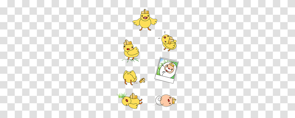 Chick Animals, Poster, Advertisement Transparent Png