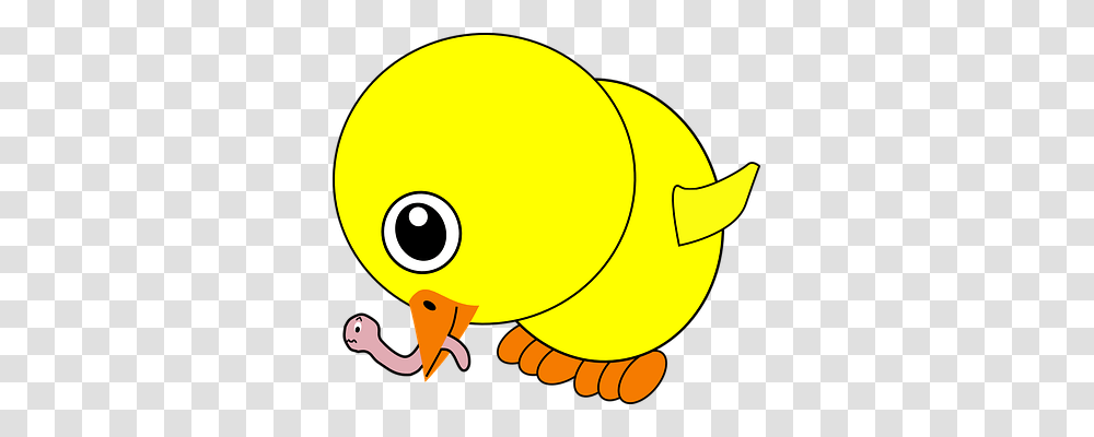 Chick Food, Animal, Pac Man, Angry Birds Transparent Png