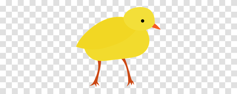 Chick Nature, Bird, Animal, Duck Transparent Png