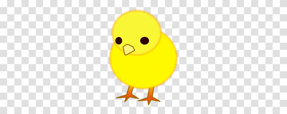 Chick Animals, Balloon, Bird, Poultry Transparent Png