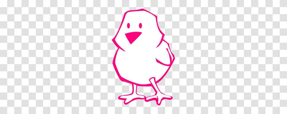 Chick Animals, Outdoors, Nature, Label Transparent Png