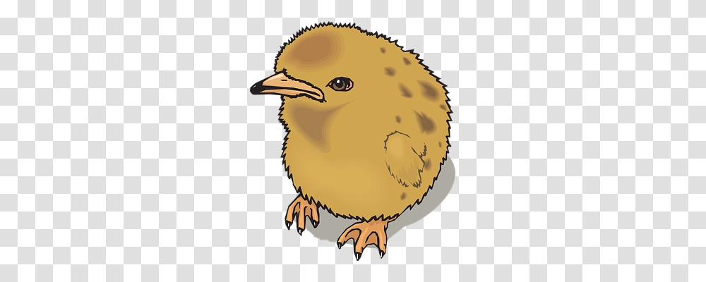 Chick Animals, Bird, Fowl, Poultry Transparent Png