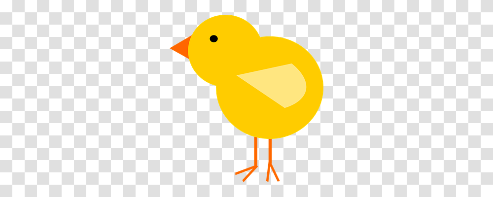 Chick Emotion, Bird, Animal, Canary Transparent Png