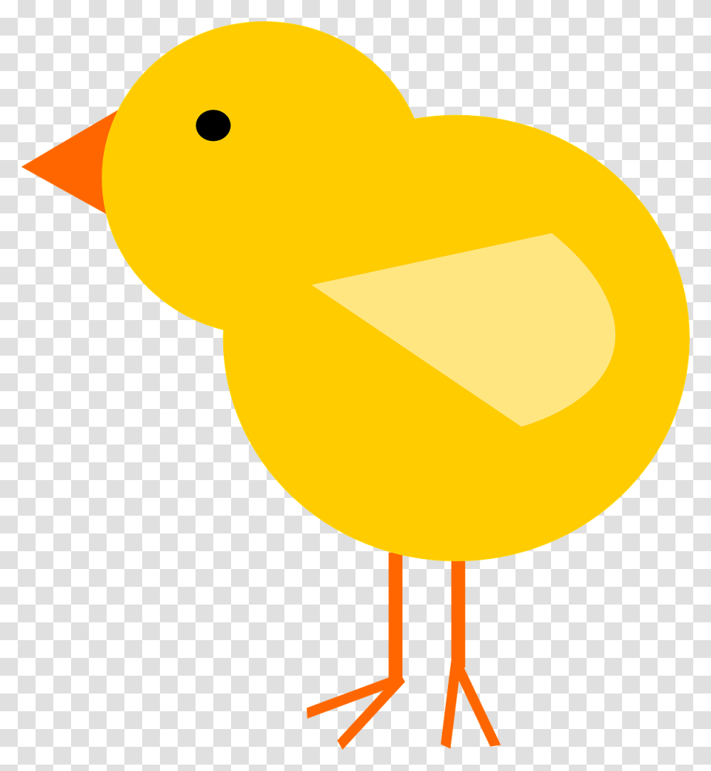 Chick Bird Easter Spring Animal Feather Chick Clipart, Canary, Poultry, Fowl, Outdoors Transparent Png