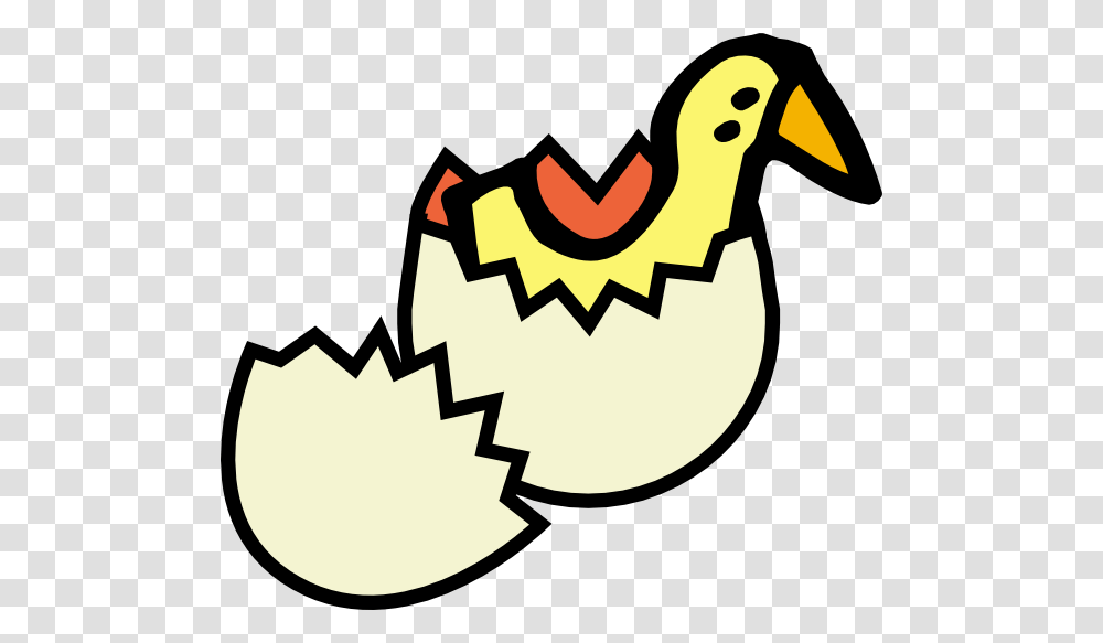 Chick Clip Art, Bird, Animal, Poultry, Fowl Transparent Png