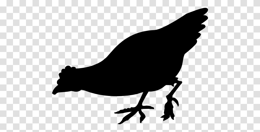 Chick Clipart Vector, Silhouette, Blackbird, Animal, Agelaius Transparent Png