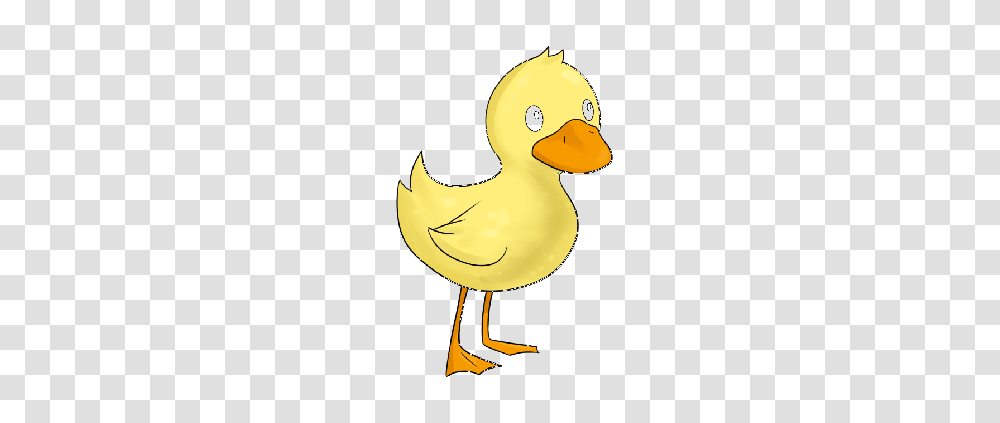 Chick Cliparts, Duck, Bird, Animal, Snowman Transparent Png