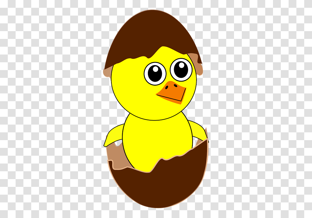 Chick Egg Hatching Birth Broken Shell Open Clipart Idea, Animal, Bird, Beak, Duck Transparent Png