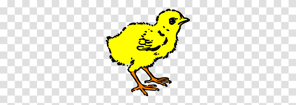 Chick Images Icon Cliparts, Bird, Animal, Beak, Finch Transparent Png