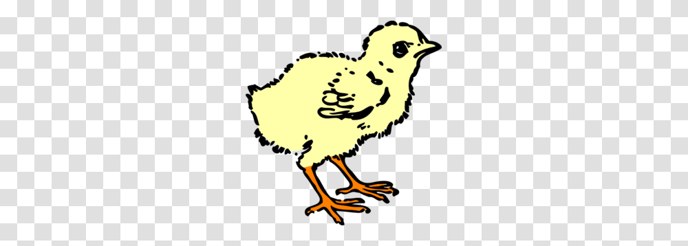 Chick In Color Clip Art, Bird, Animal, Beak, Fowl Transparent Png