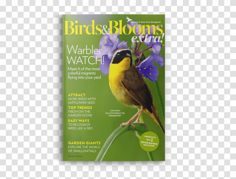 Chickadee, Bird, Animal, Advertisement Transparent Png