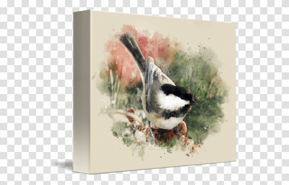 Chickadee Clipart Perching Bird, Animal, Jay, Beak, Painting Transparent Png
