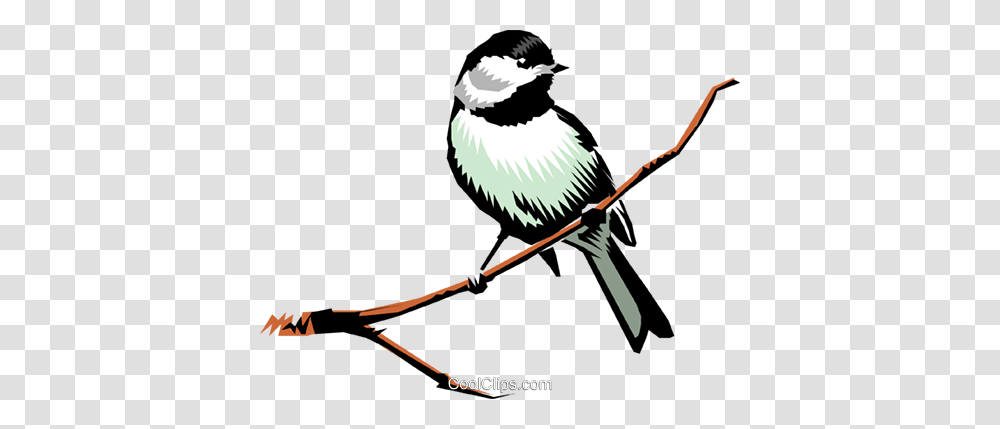 Chickadee Royalty Free Vector Clip Art Illustration, Bird, Animal, Magpie Transparent Png
