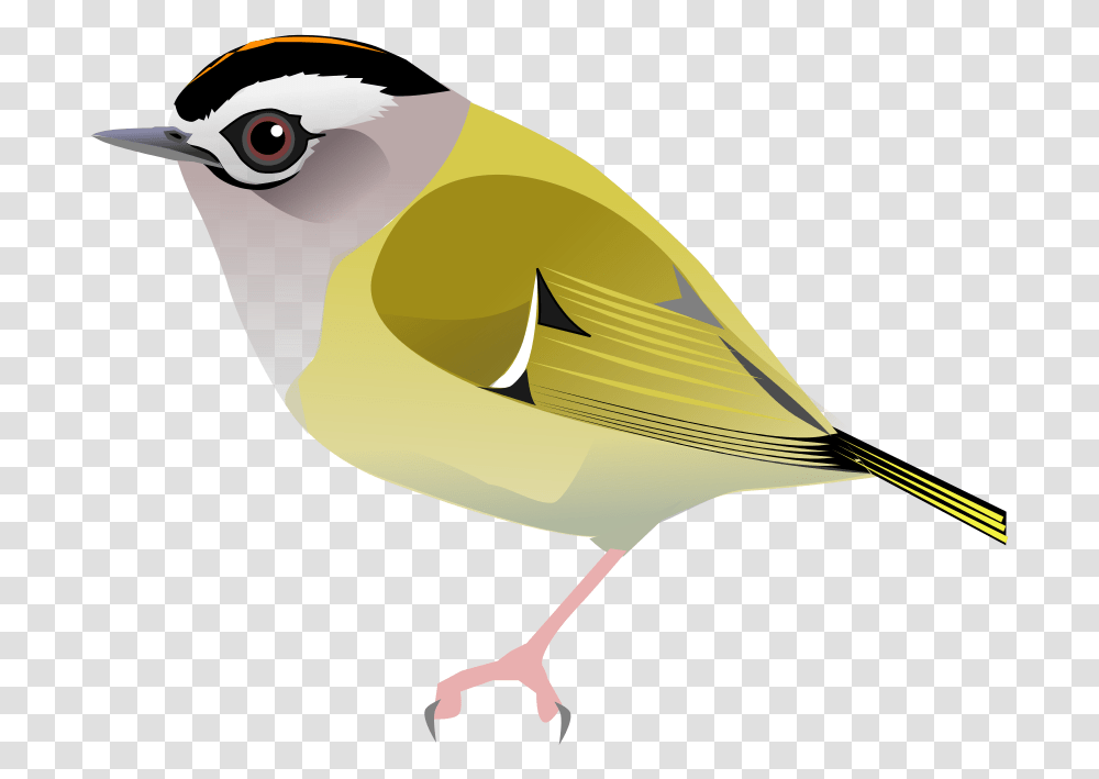 Chickadee Vector Svg Northern Grey Shrike, Finch, Bird, Animal, Canary Transparent Png
