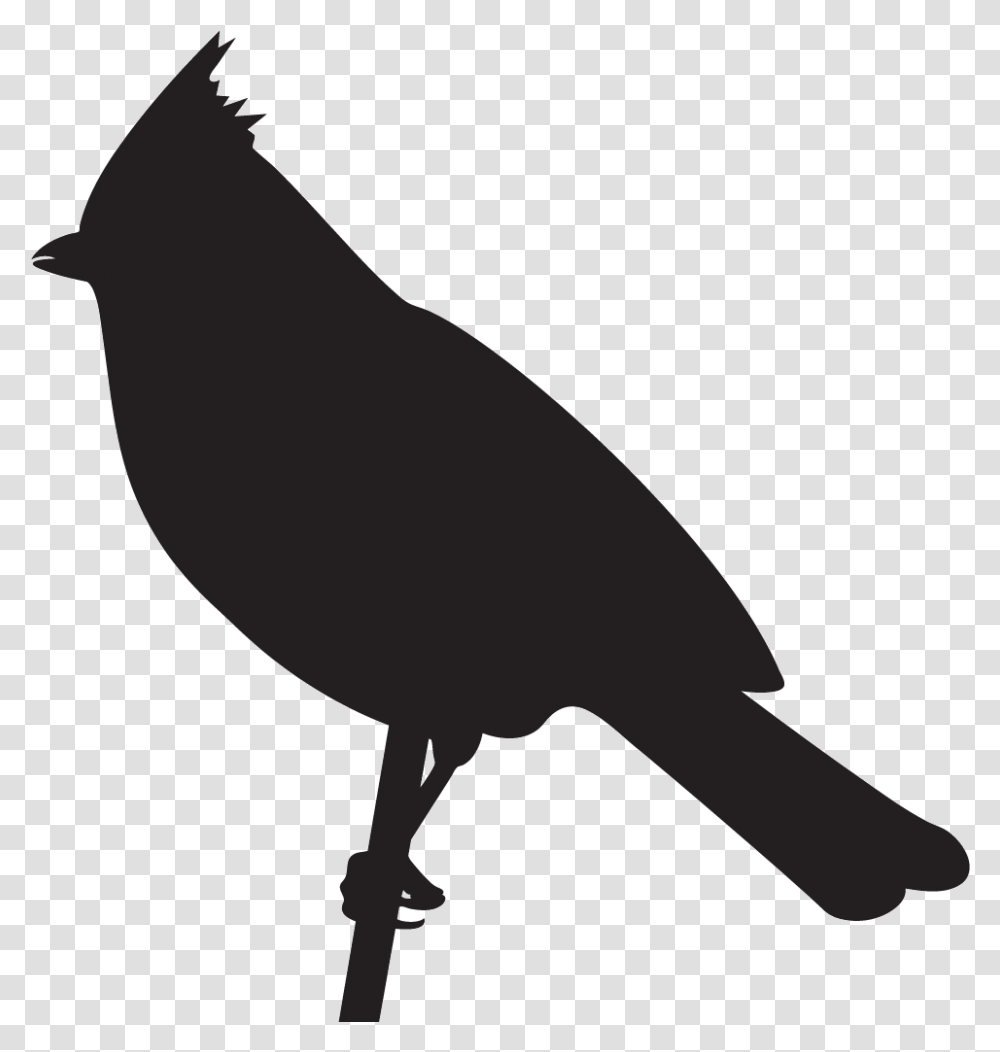 Chickadees Titmouse Bird Silhouette, Animal, Axe, Tool, Blackbird Transparent Png