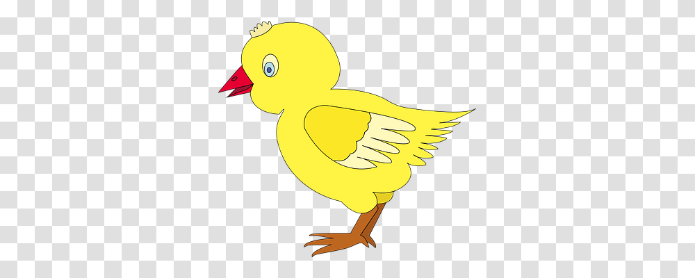 Chicken Animals, Duck, Bird, Goose Transparent Png