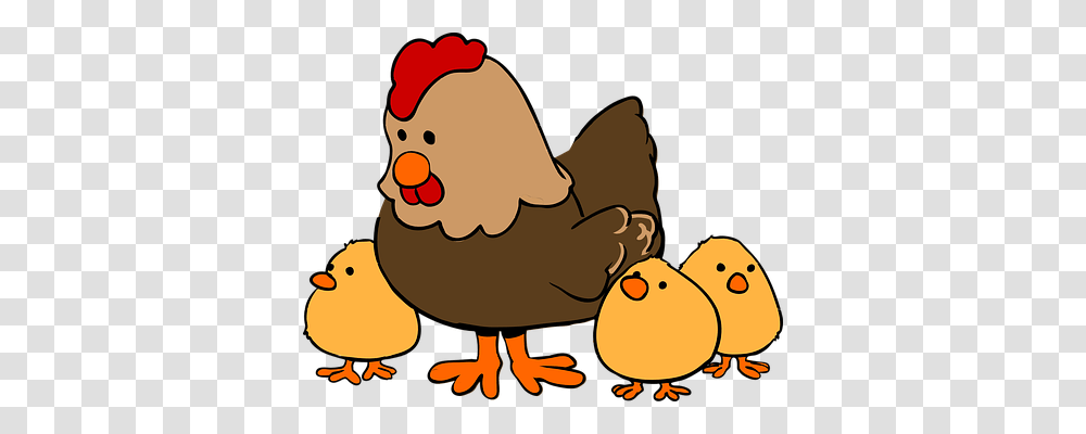 Chicken Animals, Fowl, Bird, Poultry Transparent Png