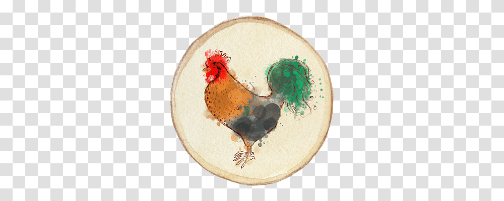 Chicken Poultry, Fowl, Bird, Animal Transparent Png