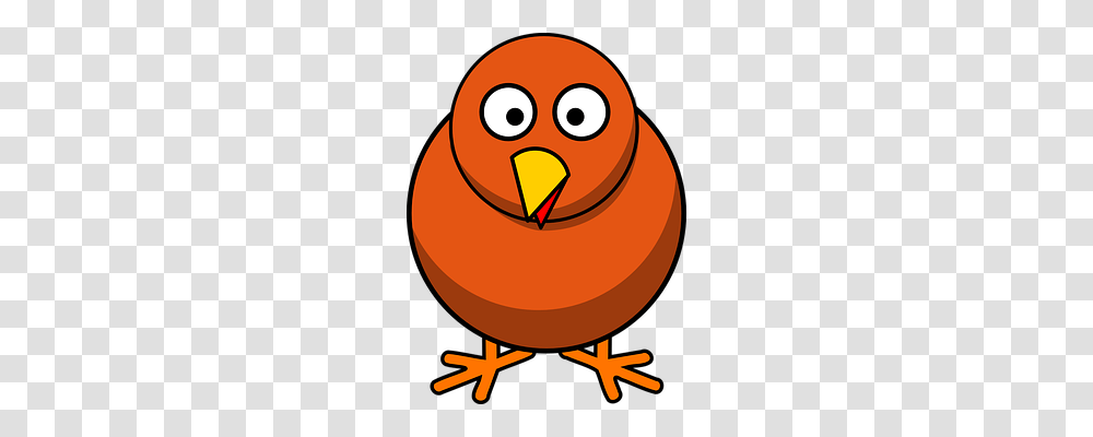 Chicken Animals, Bird, Poster, Advertisement Transparent Png