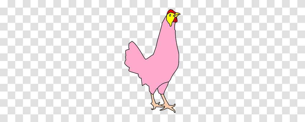 Chicken Nature, Hand, Wrist, Person Transparent Png