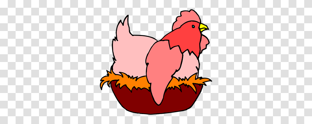 Chicken Animals, Bird, Cardinal, Poultry Transparent Png