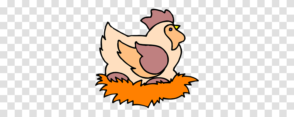 Chicken Animals, Poultry, Fowl, Bird Transparent Png