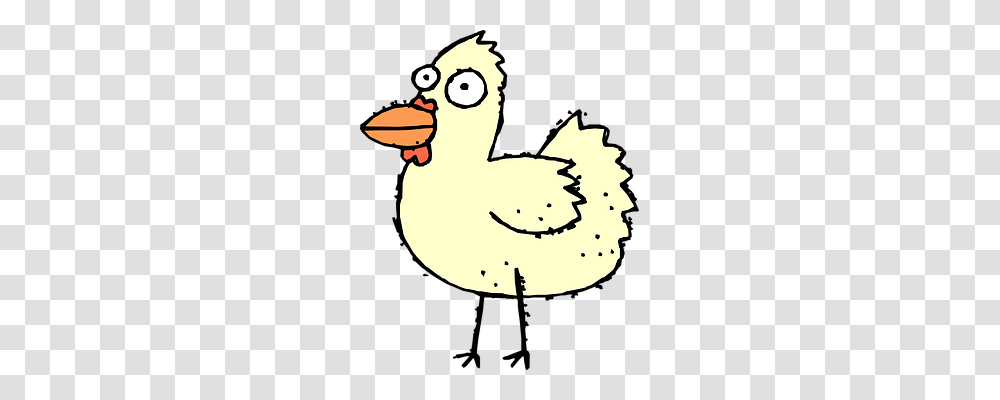 Chicken Animals, Bird, Poultry, Fowl Transparent Png