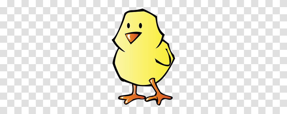 Chicken Animals, Bird, Snowman, Winter Transparent Png