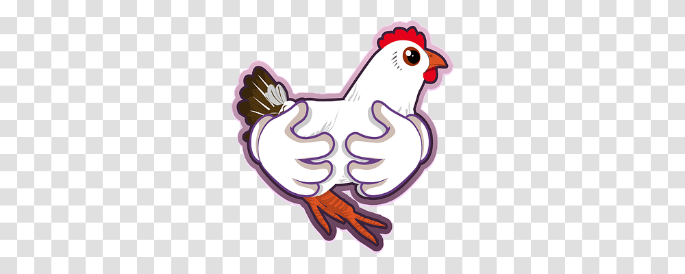 Chicken Animals, Bird, Hand, Cockatoo Transparent Png