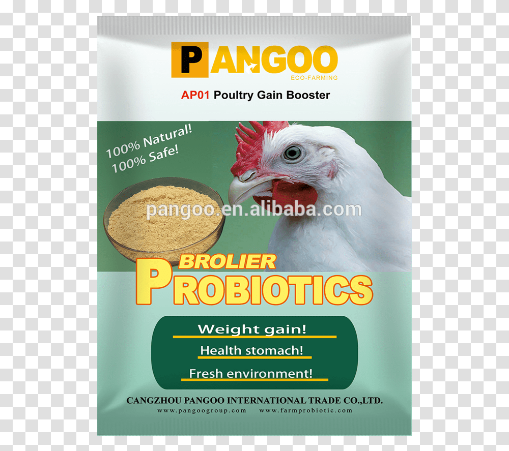 Chicken, Advertisement, Poster, Flyer, Paper Transparent Png