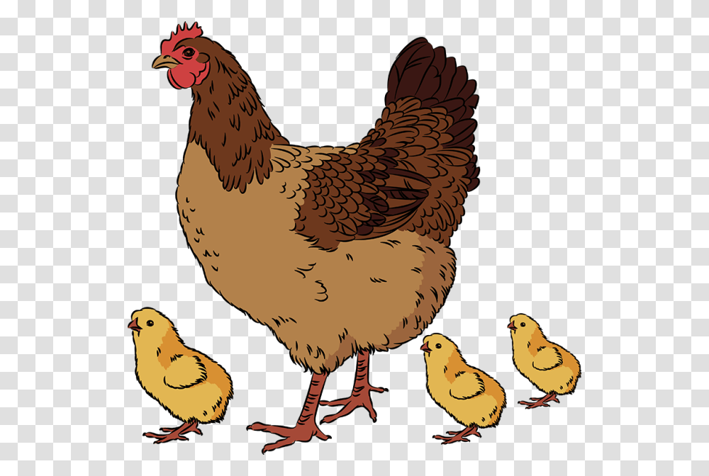 Chicken And Chicks Clip Art, Poultry, Fowl, Bird, Animal Transparent Png