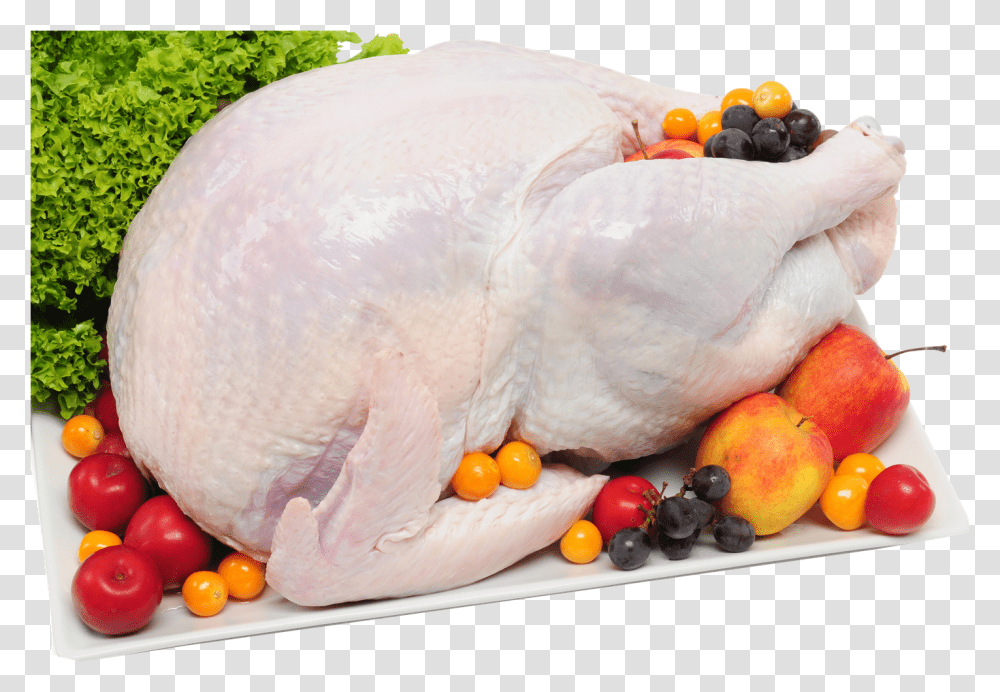 Chicken, Animal, Bird, Poultry, Fowl Transparent Png