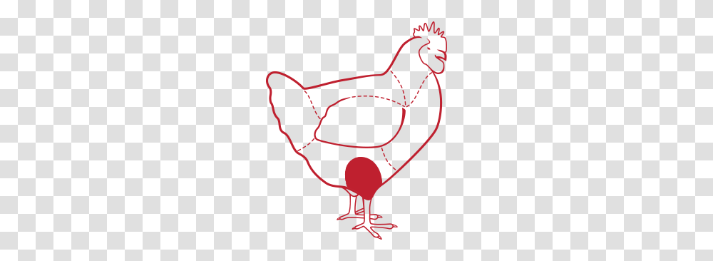 Chicken, Animal, Bird, Red Wine, Alcohol Transparent Png