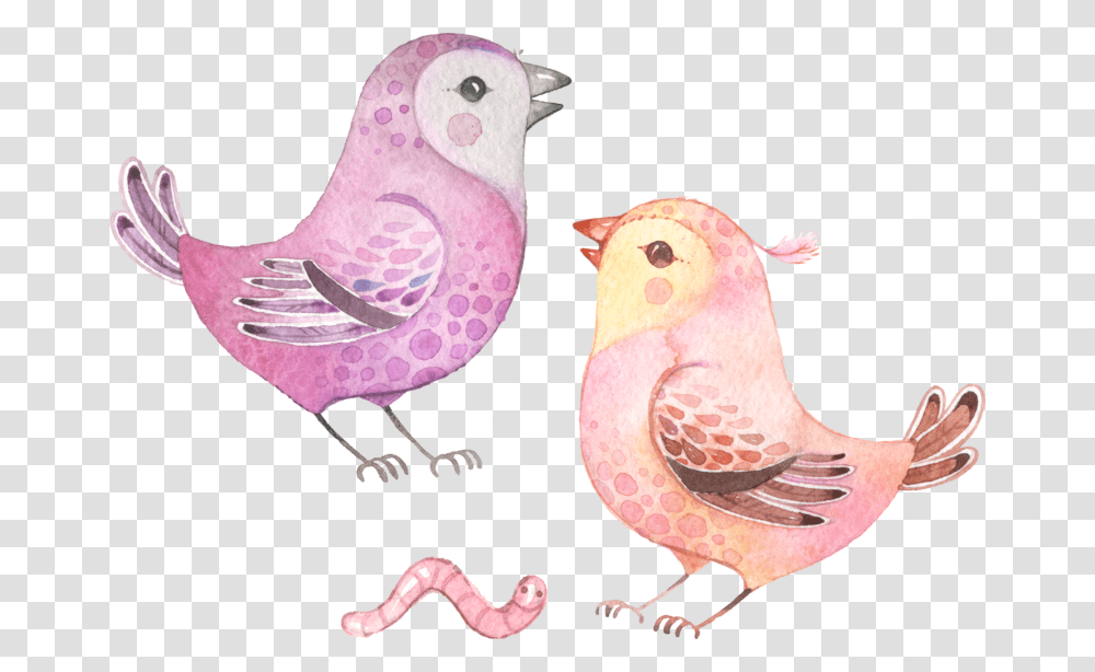 Chicken, Bird, Animal, Doodle Transparent Png