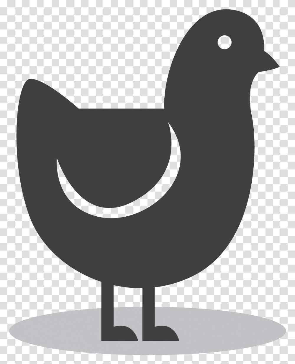 Chicken, Bird, Animal, Beak, Glass Transparent Png