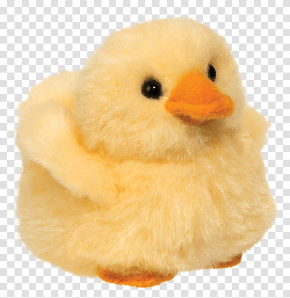 Chicken, Bird, Animal, Fowl, Poultry Transparent Png