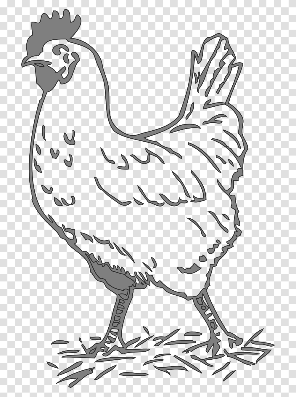 Chicken Black And White Clipart, Hen, Poultry, Fowl, Bird Transparent Png