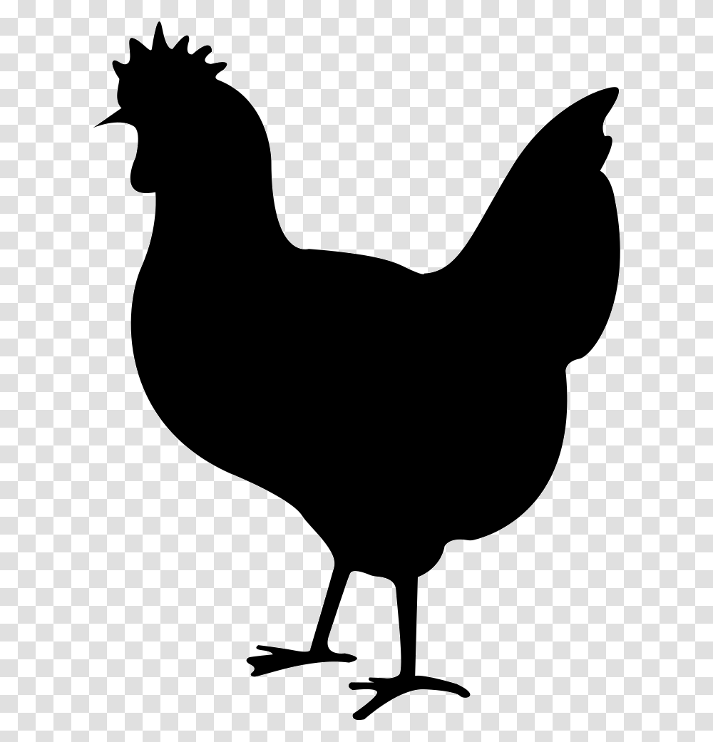 Chicken Black Clipart Download Free Chicken Svg Files, Hen, Poultry, Fowl, Bird Transparent Png