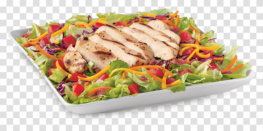 Chicken Blt Salad Dairy Queen Grilled Chicken Blt Salad, Lunch, Meal, Food, Dish Transparent Png