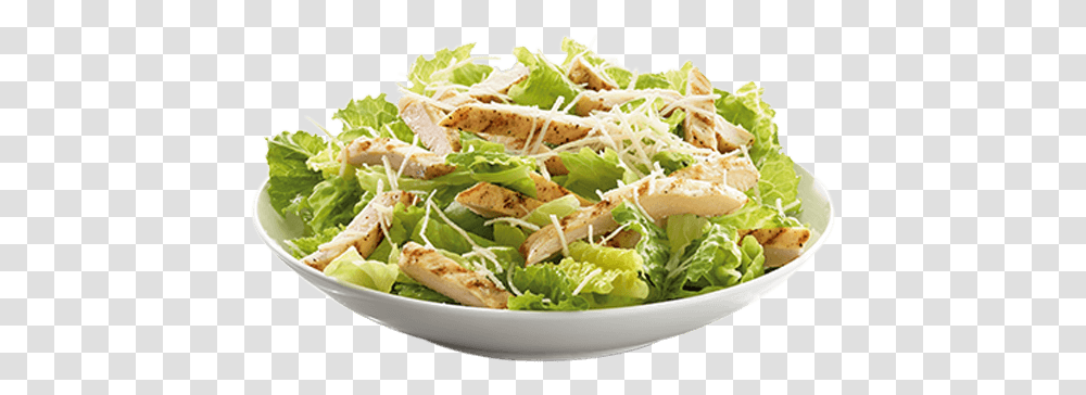 Chicken Caesar Salad Chicken Caesar Salad, Plant, Food, Lunch, Meal Transparent Png