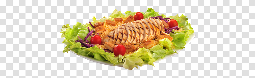 Chicken Caesar Salad Fast Food, Lunch, Meal, Dish, Platter Transparent Png