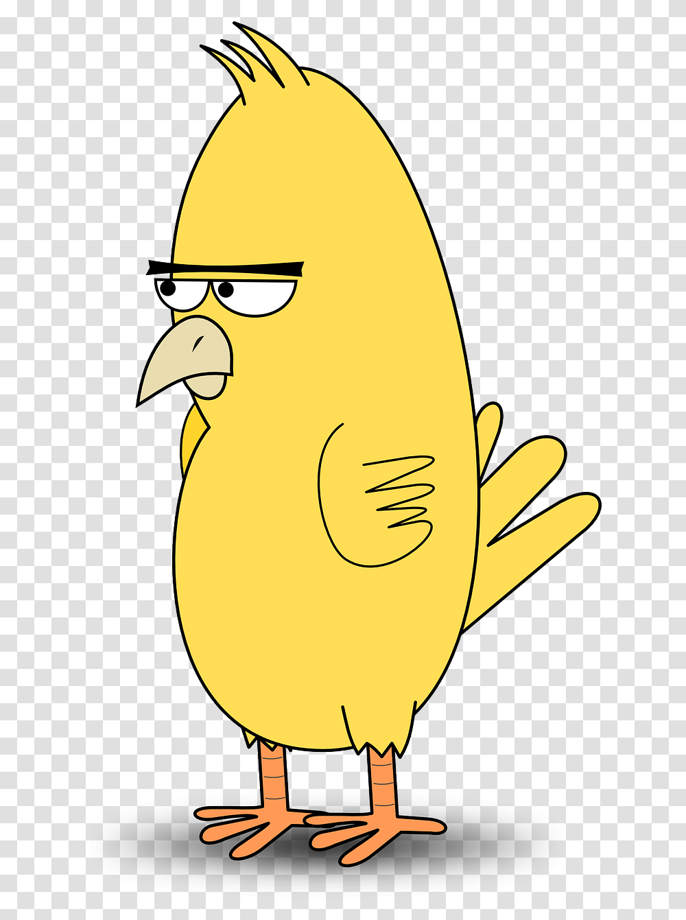Chicken Cartoon, Animal, Bird Transparent Png