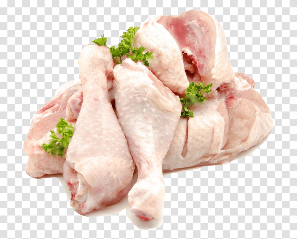 Chicken Chicken Fresh Meat, Vase, Jar, Pottery, Potted Plant Transparent Png