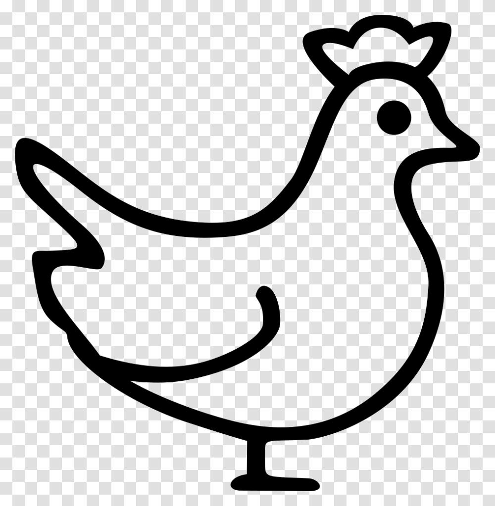 Chicken Chicken Icon, Poultry, Fowl, Bird, Animal Transparent Png