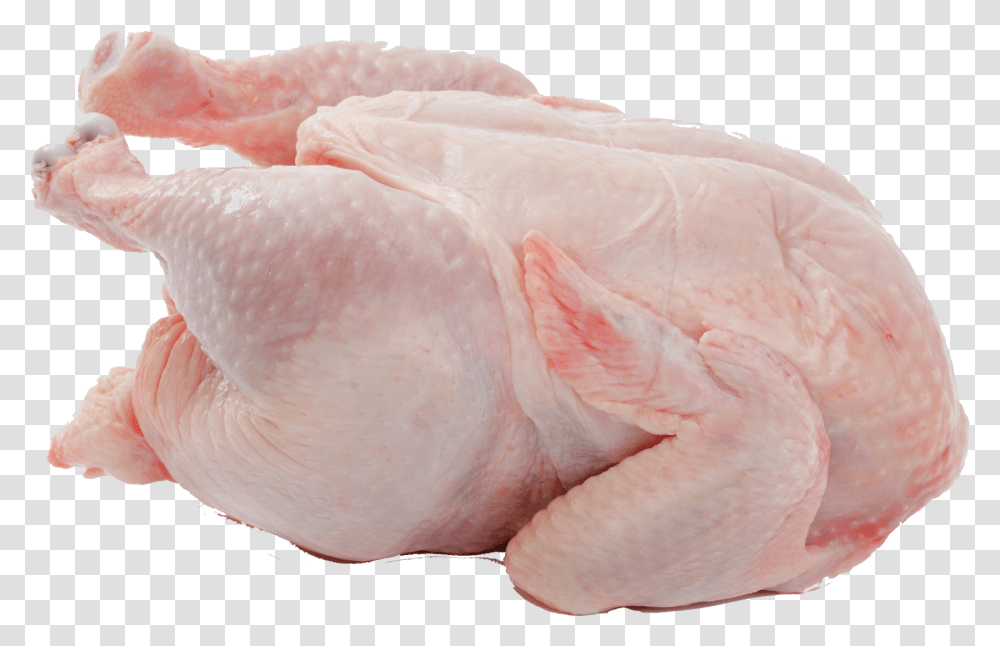 Chicken Chicken Meat, Bird, Animal, Poultry, Fowl Transparent Png