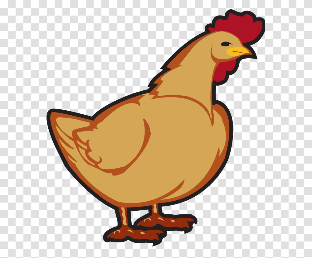 Chicken Clip Art, Bird, Animal, Hen, Poultry Transparent Png