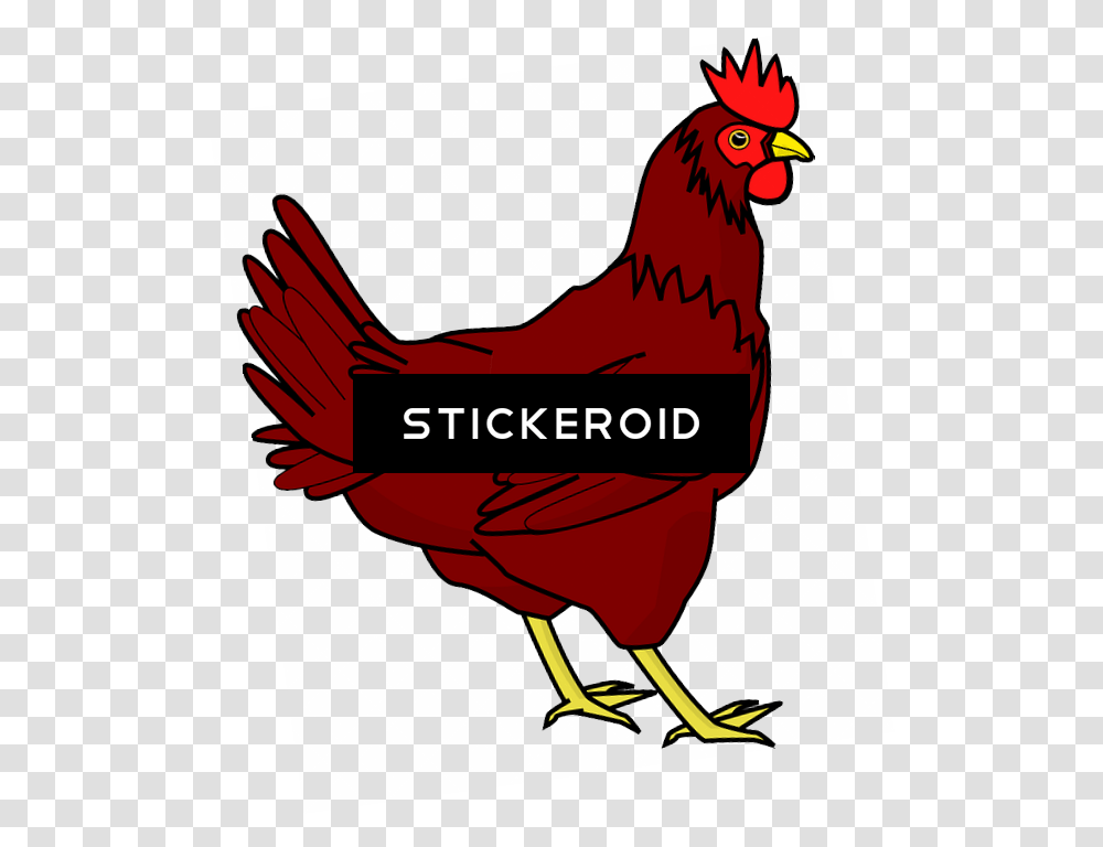 Chicken Clip Art Hen Clipart, Poultry, Fowl, Bird, Animal Transparent Png